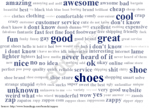 Brandtags zappos