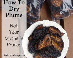 how-to-dry-plums